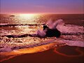 La fuerza del mar