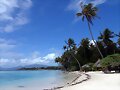 Playa y Palmeras