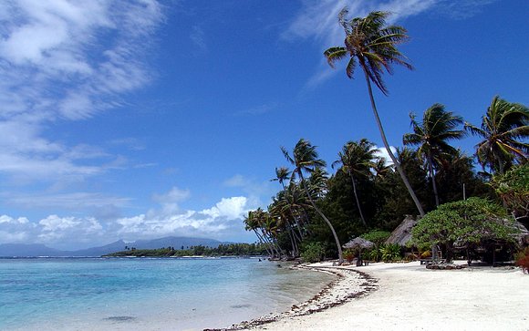 Playa y Palmeras