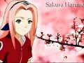 Sakura