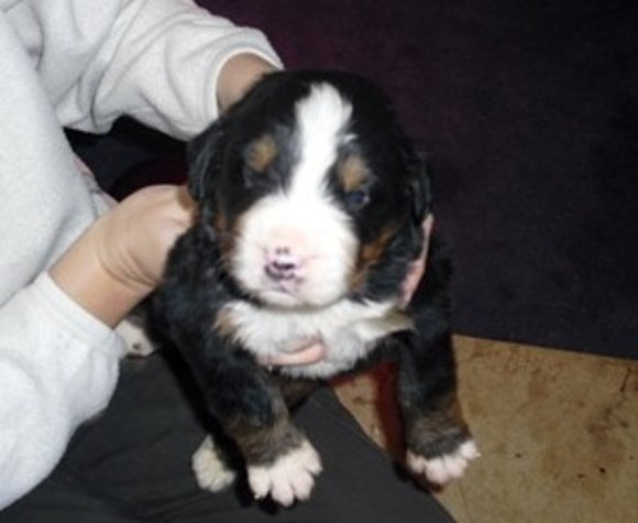 Matias con 16 dias