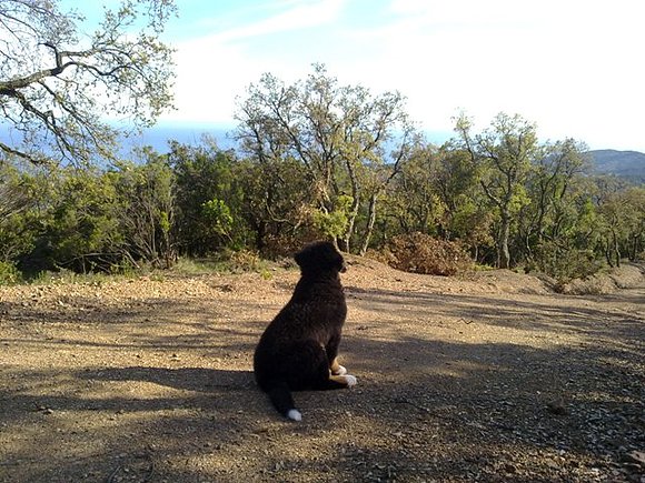 Momentos de meditación