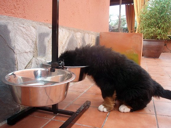 QUÉ HAMBRE!!