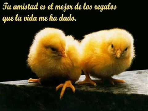 AMiGo