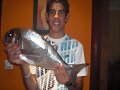 DORADA