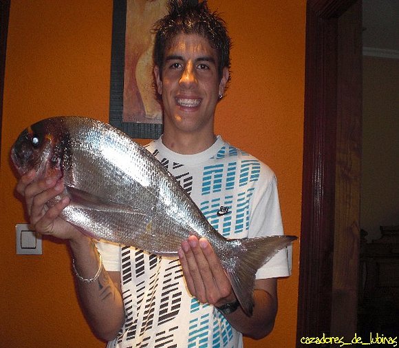 DORADA