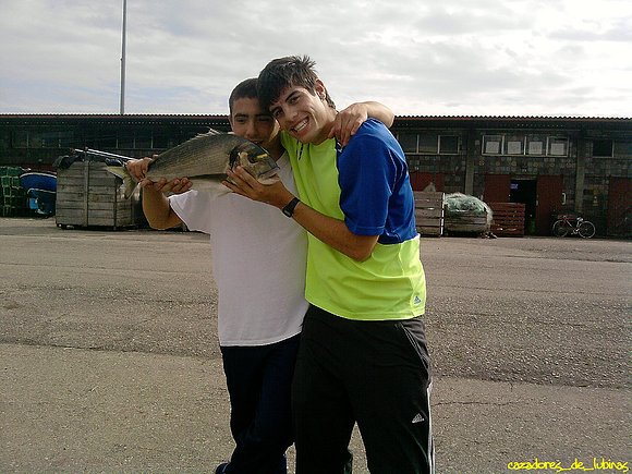 DORADA