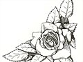 MI DIBUJO