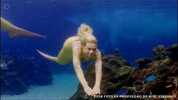 nadando bajo el mar