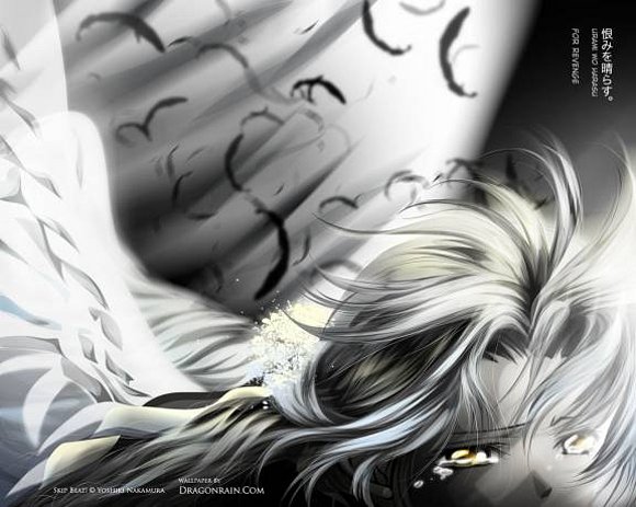 SKIP BEAT FRACES