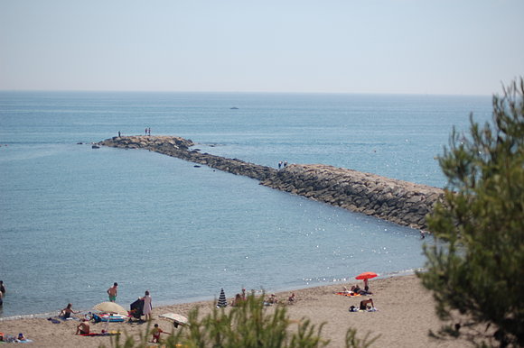 espigon en sant marti de anpuria