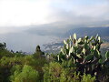 SANTA CRUZ DE LA PALMA
