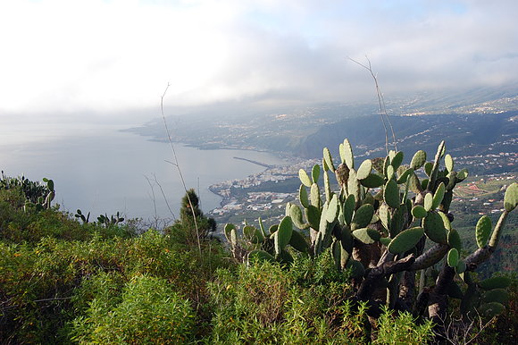 SANTA CRUZ DE LA PALMA