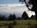 EL ATLANTICO VISTO DESDE TENAGUA