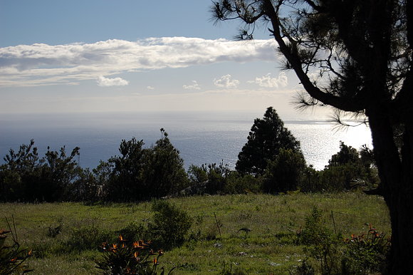 EL ATLANTICO VISTO DESDE TENAGUA