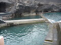 PICINAS DE BARLOVENTO ISLA DE LA PALMA