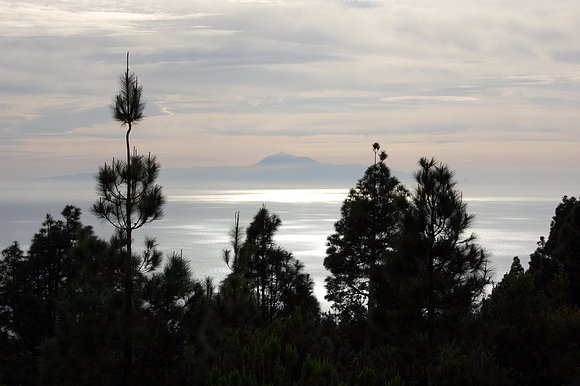 AMANECER EN TENAGUA CON EL TEIDE  A LA VISTA