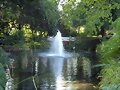 EL LAGO EN EL JARDIN BOTANICO