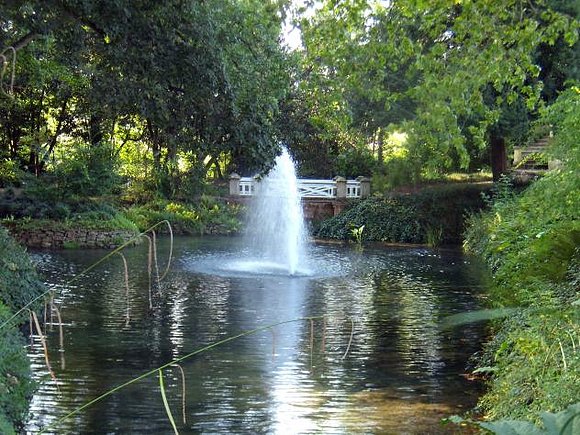 EL LAGO EN EL JARDIN BOTANICO