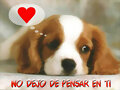 te kiero