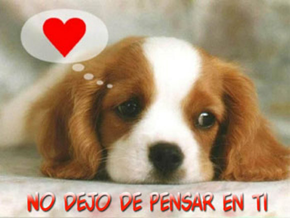 te kiero