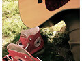 Musiiik ~ (8)