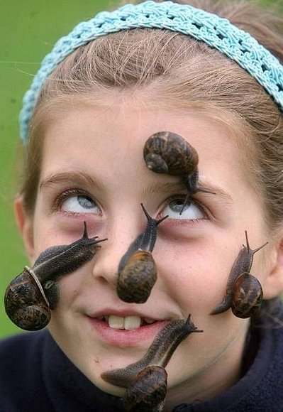 Caracoles