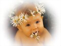 Primavera