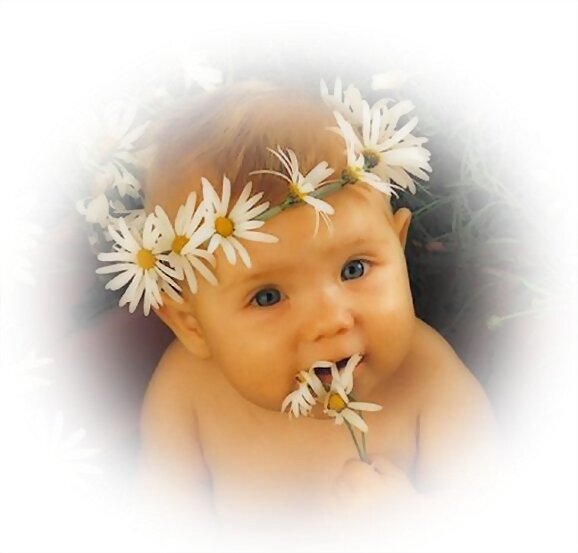 Primavera