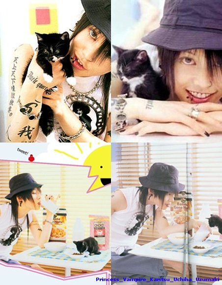 Miyavi y un gatito owo