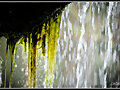 Fuente