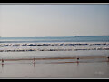 VIGILANTES DE LA PLAYA