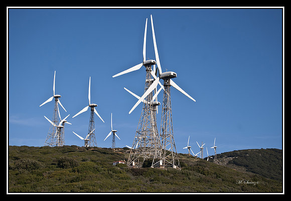 Parque Eólico (Tarifa)