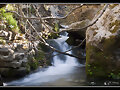 Rio Majaceite