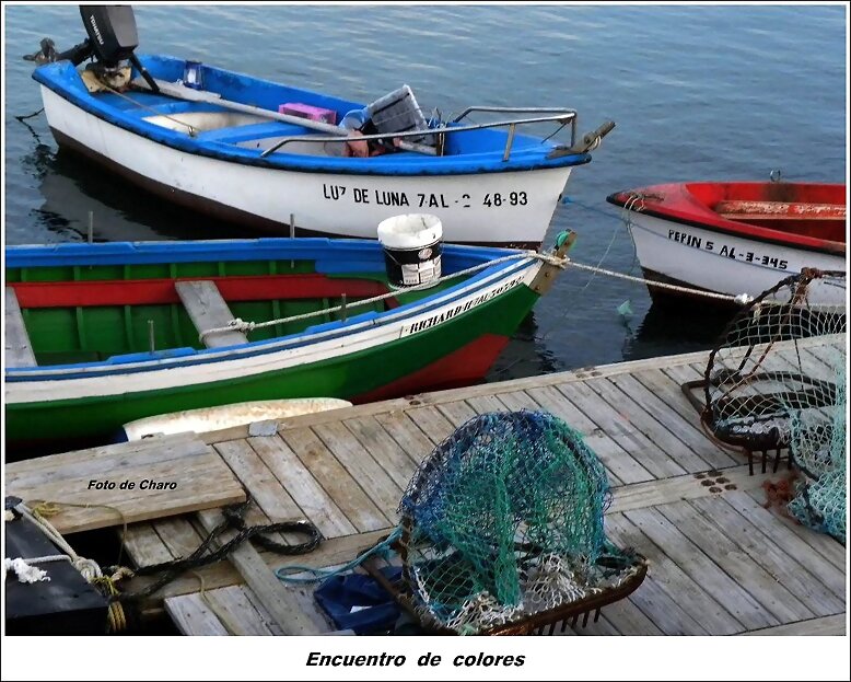 Encuentro  de  colores