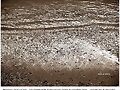 Hagamos  como  el  mar