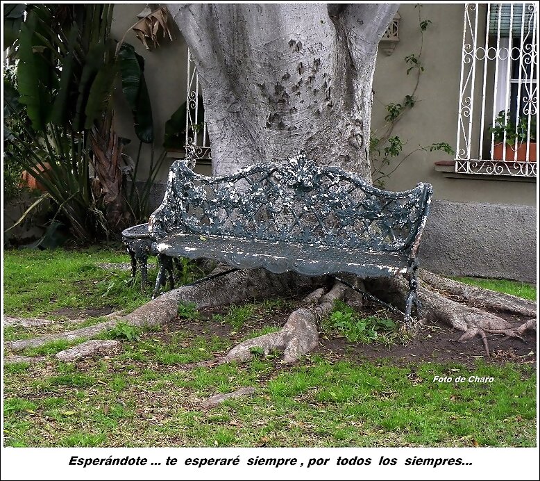 Esperándote