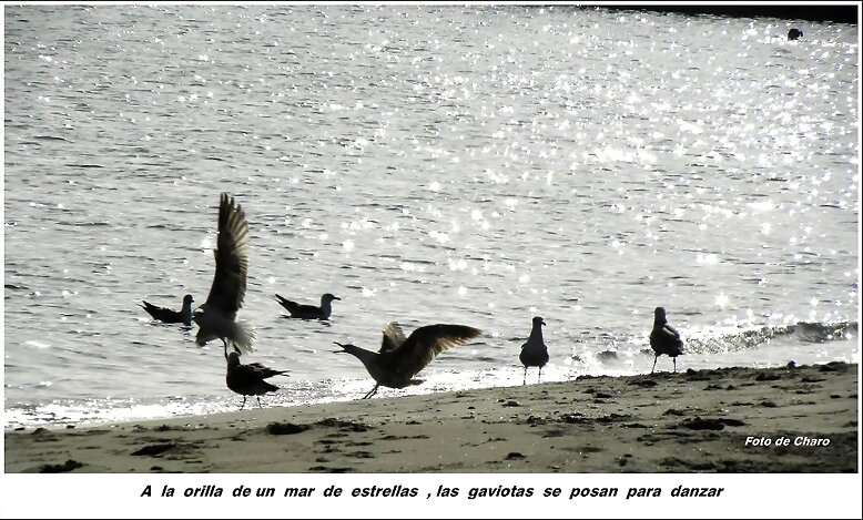 A  la  orilla