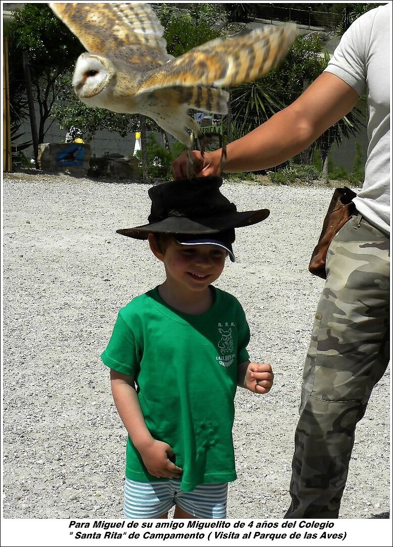 Miguelito