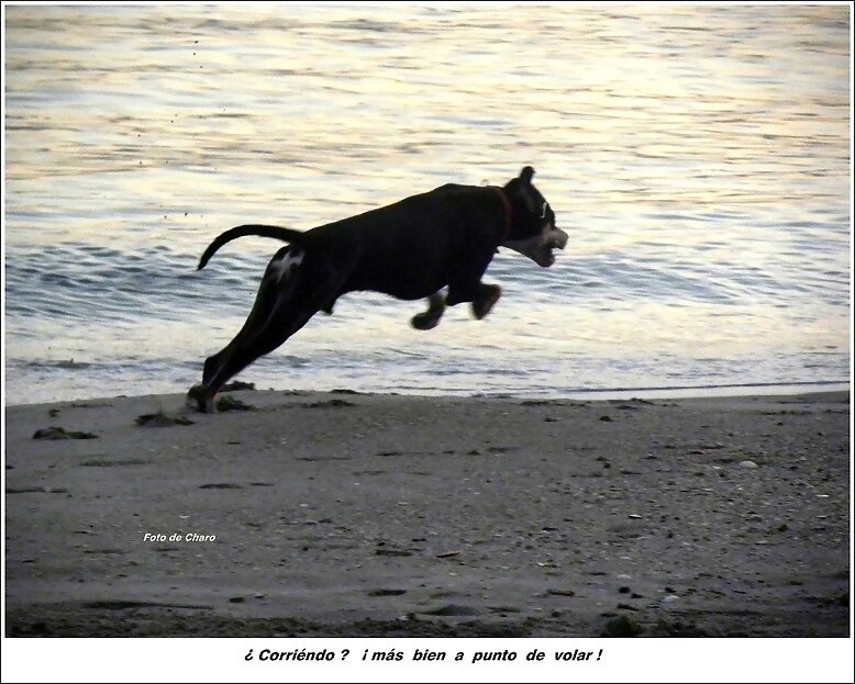 ¿ Corriendo ?