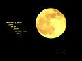 Luna de la Noche &iexcl;de San Juan