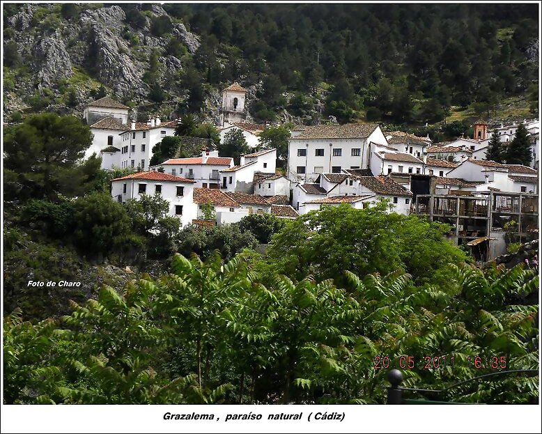 Grazalema  ( Cádiz)
