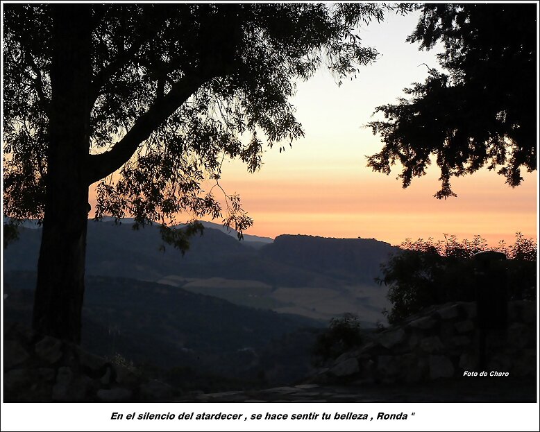 En  el  silencio
