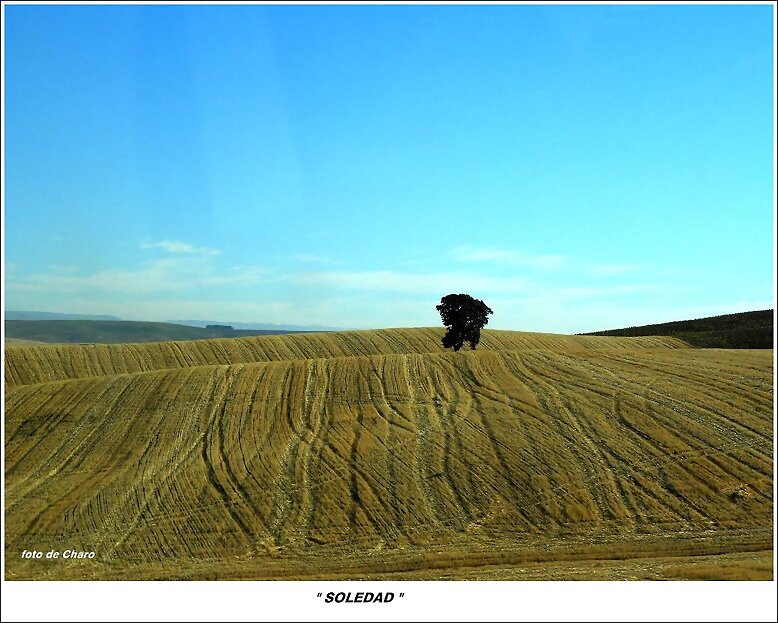 Soledad