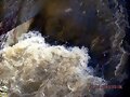 LA FUERZA ENORME DE LA NATURALEZA