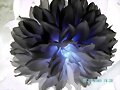 MARAVILLOSA LUZ AZUL