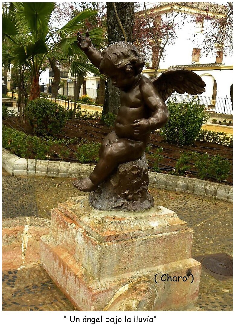 Un  ángel  bajo  la  lluvia