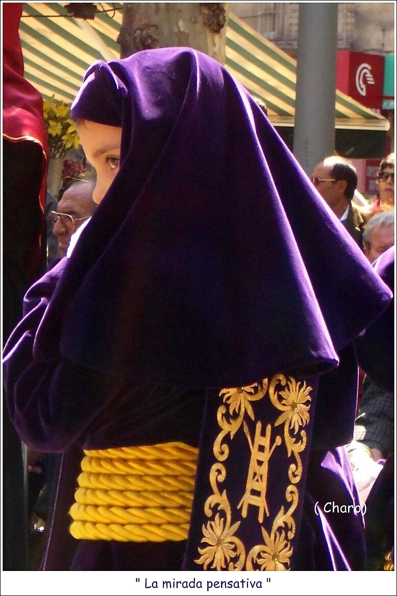 La  mirada  pensativa