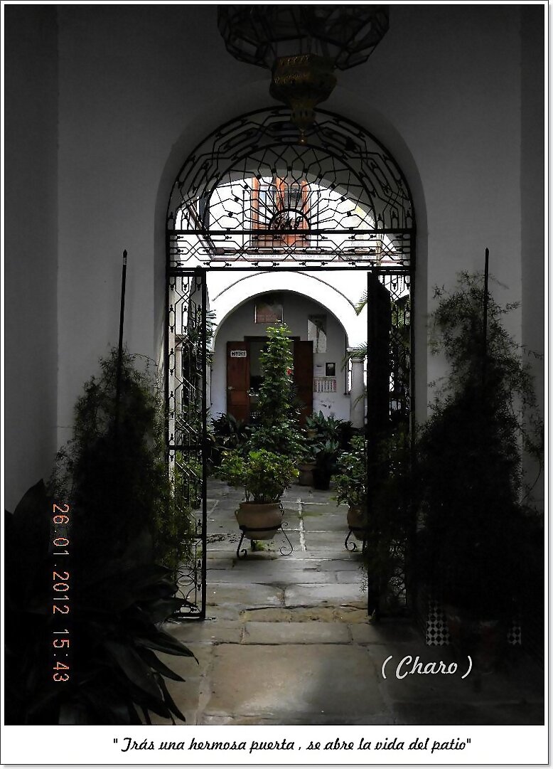 Trás la puerta ,se abre la vida del patio