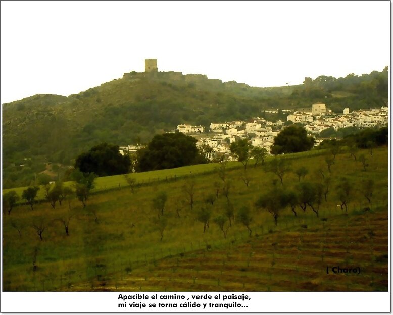 Apacible el camino , verde el paisaje...